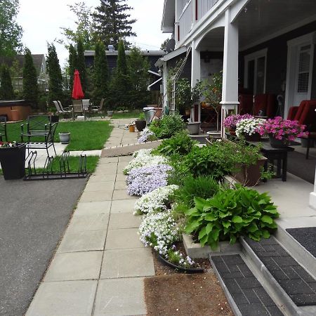 Hotel Saint-Donat Экстерьер фото